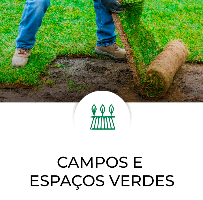 Culturas-relacionadas-Modelo-Frutas—Campos-e-Espaços-Verdes