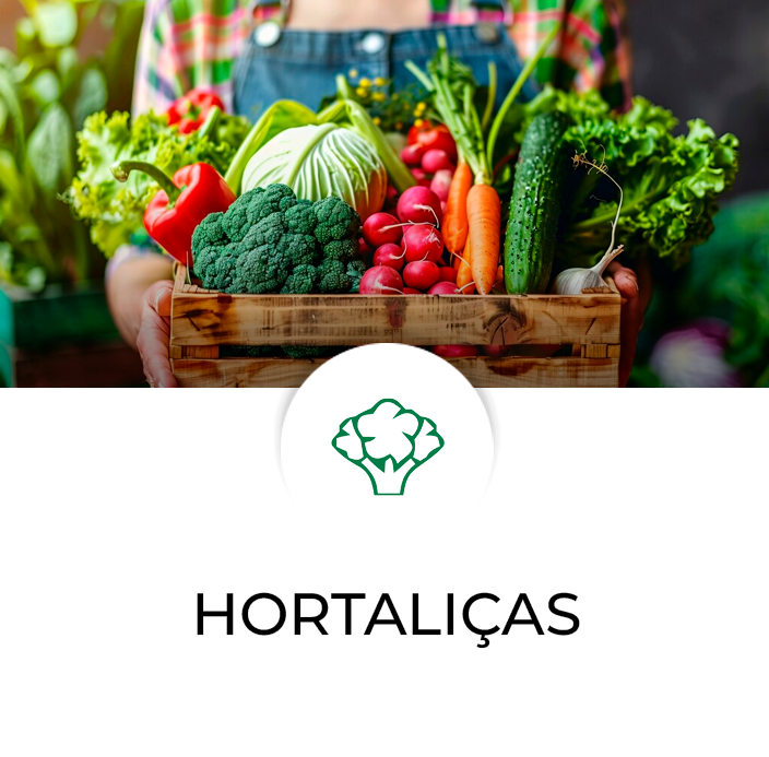 Culturas-relacionadas-Modelo-Frutas—Hostaliças