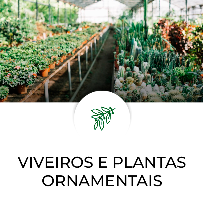 Culturas-relacionadas-Modelo-Frutas—Viveiros-e-Plantas-Ornamentais
