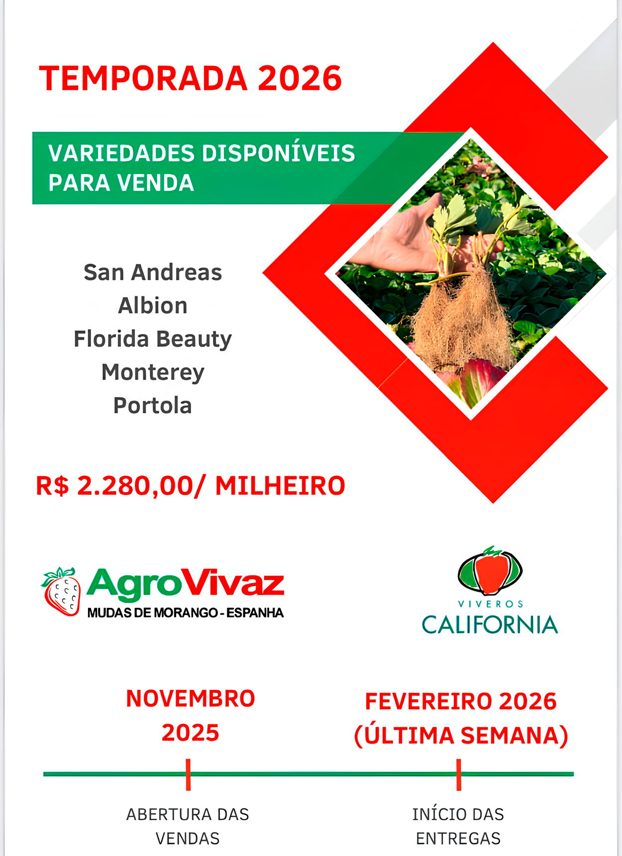 tabata-frut-nossos-cultivos